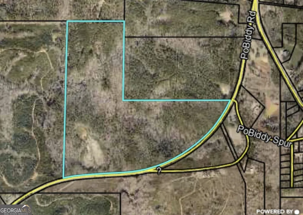 40 ACRES Pobiddy RD Thomaston, GA 30286