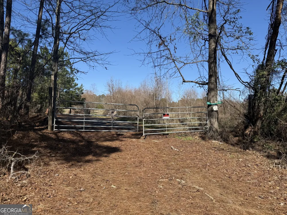 40 ACRES Pobiddy RD Thomaston, GA 30286