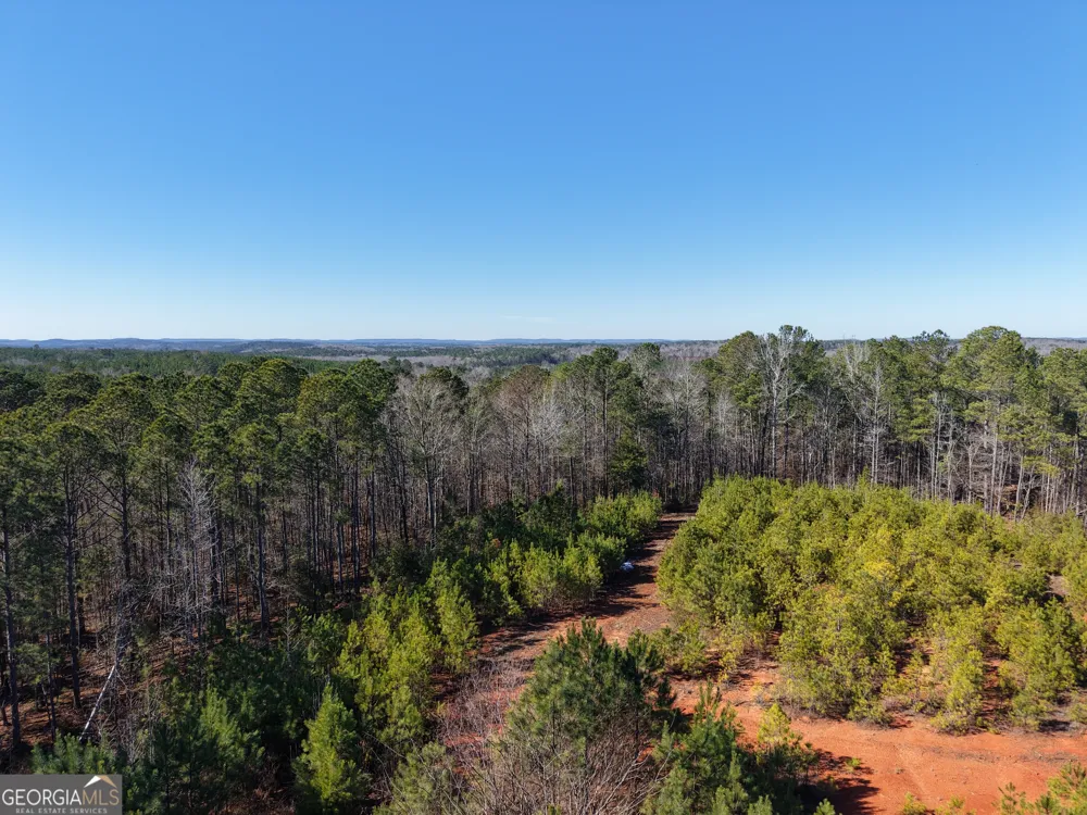 40 ACRES Pobiddy RD Thomaston, GA 30286