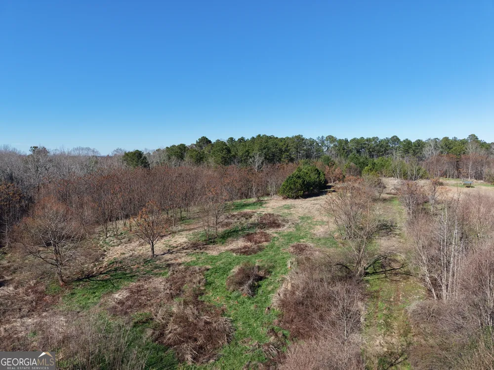 40 ACRES Pobiddy RD Thomaston, GA 30286