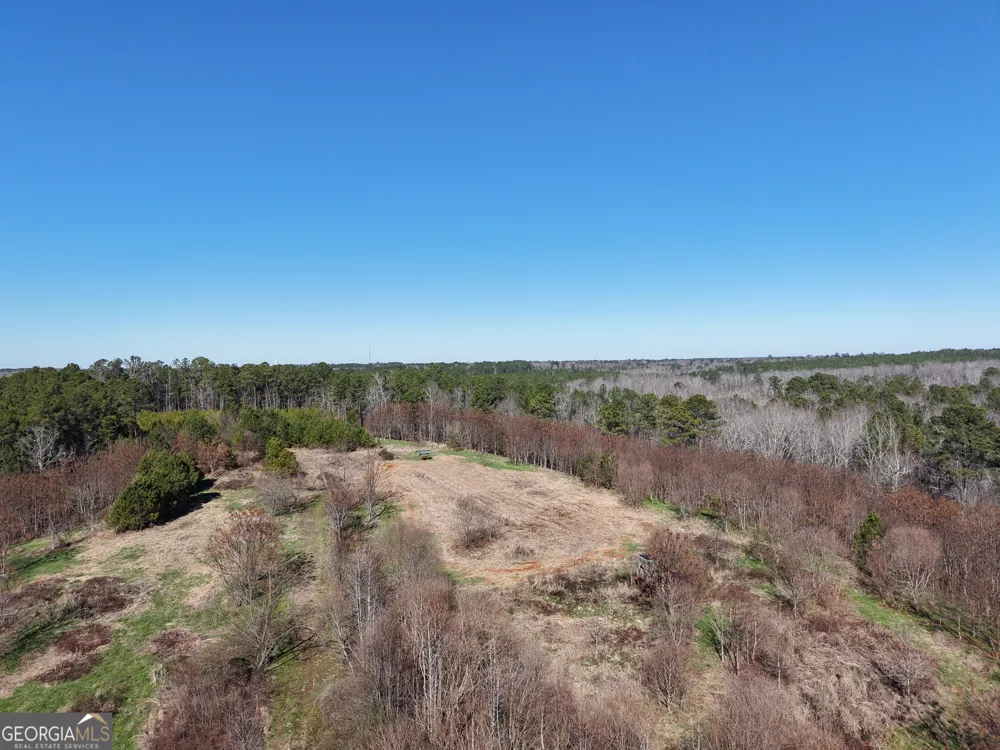 40 ACRES Pobiddy RD Thomaston, GA 30286