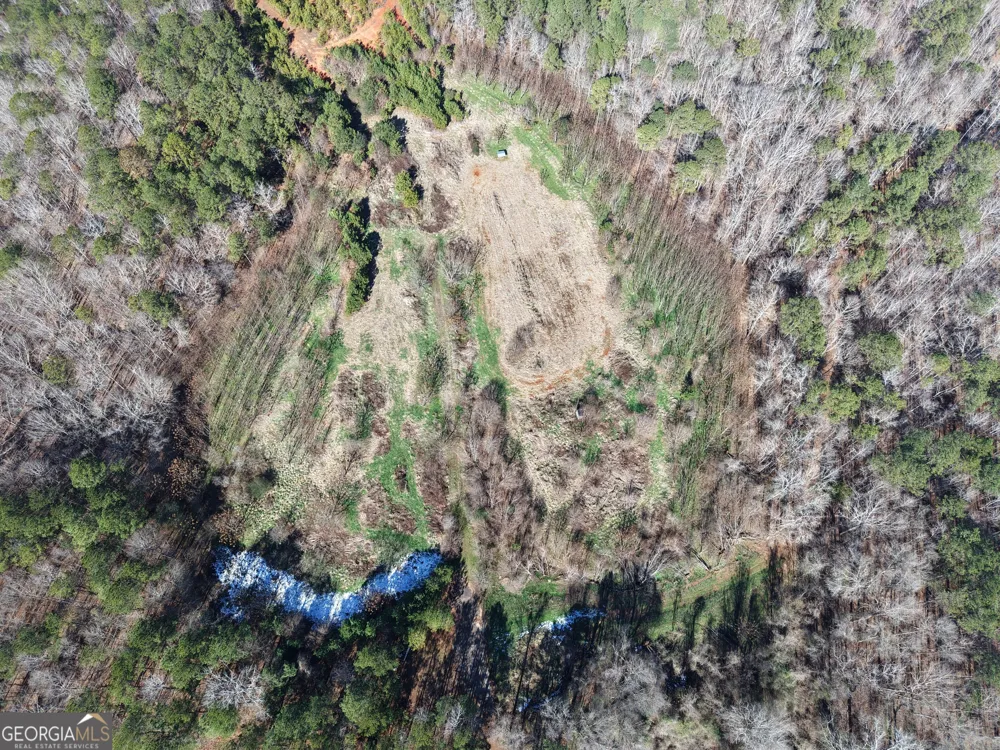 40 ACRES Pobiddy RD Thomaston, GA 30286