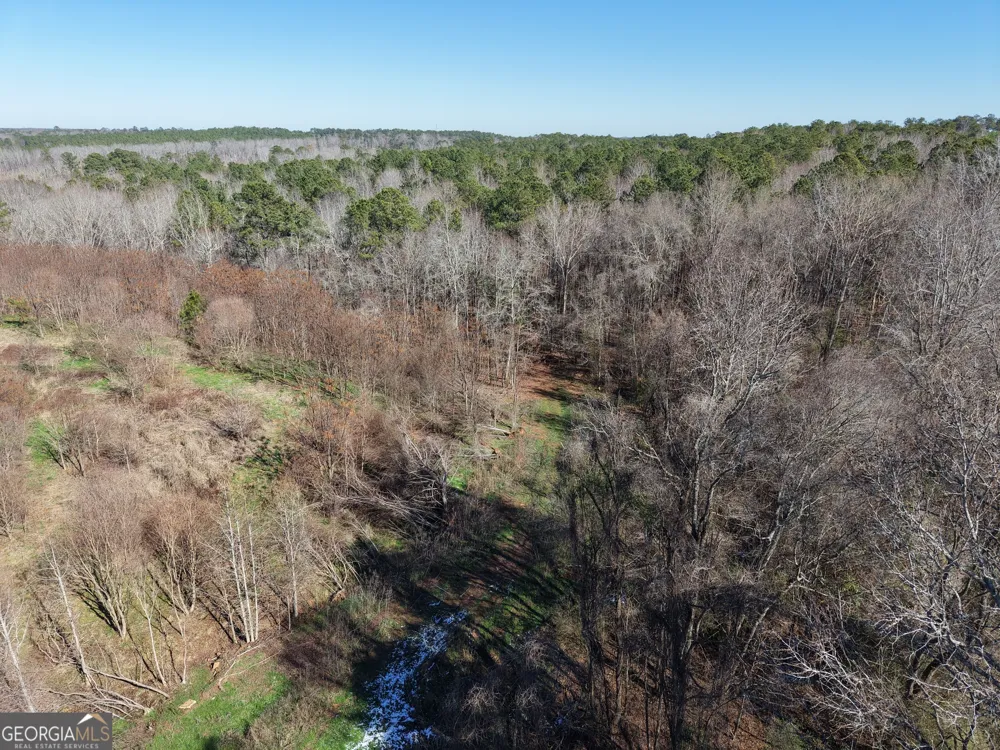 40 ACRES Pobiddy RD Thomaston, GA 30286