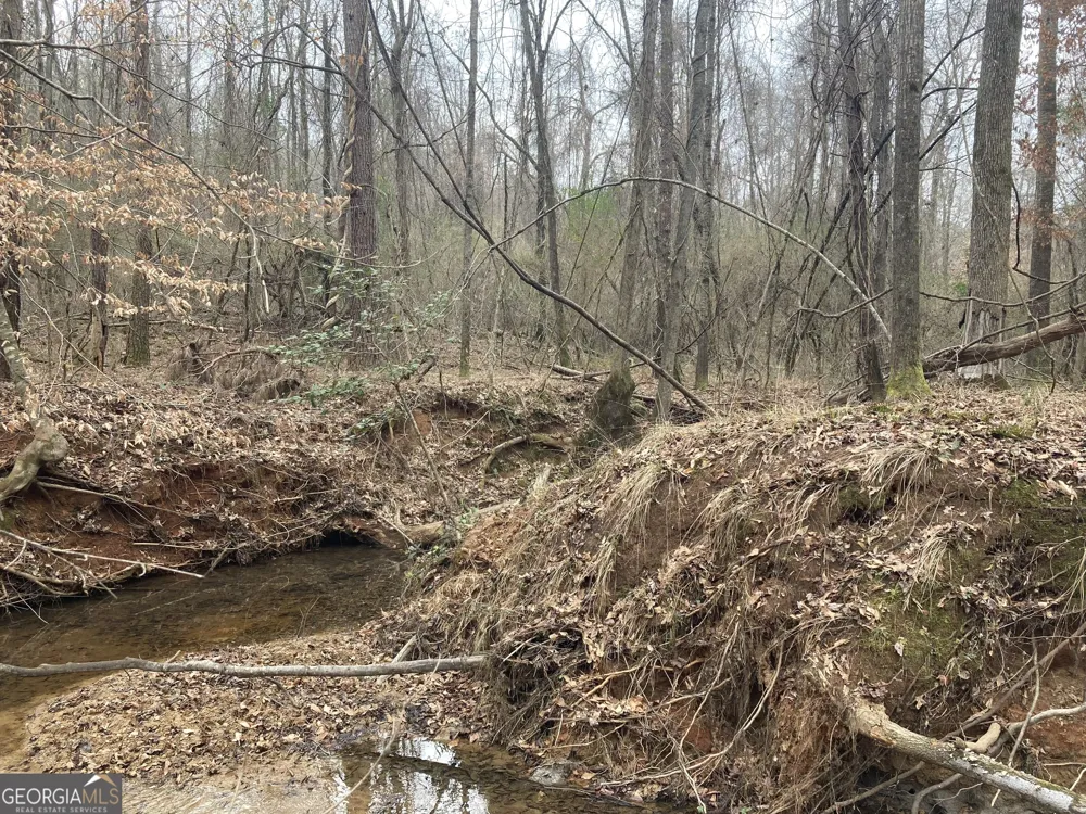 40 ACRES Pobiddy RD Thomaston, GA 30286