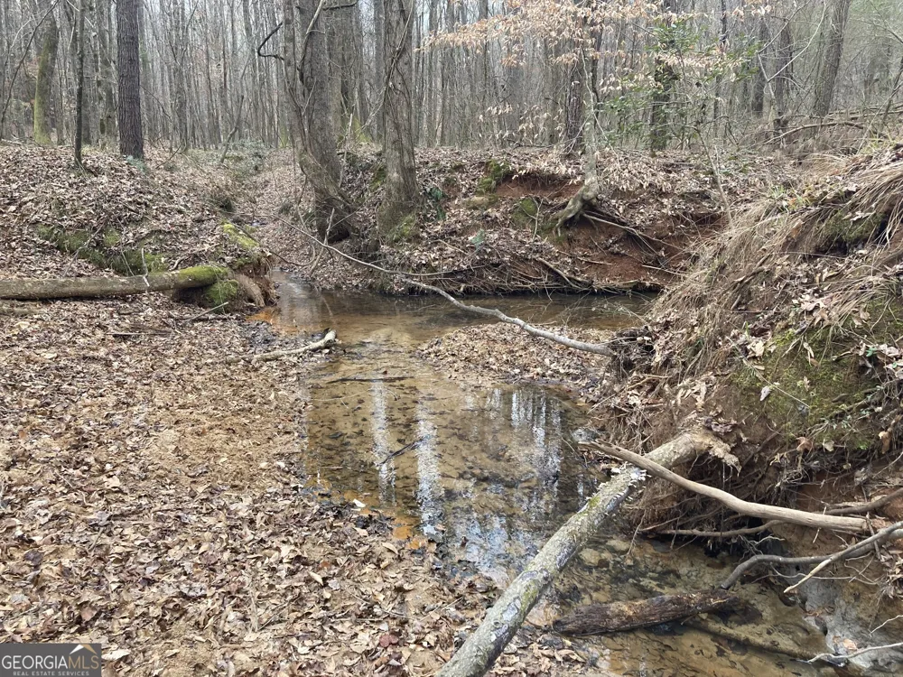 40 ACRES Pobiddy RD Thomaston, GA 30286