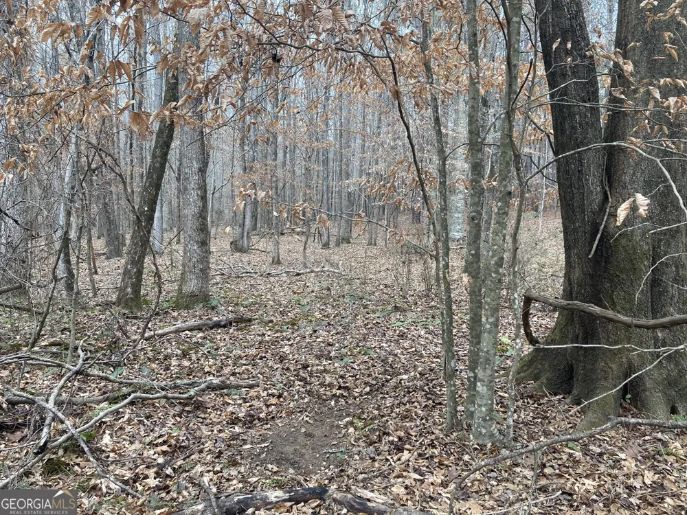 40 ACRES Pobiddy RD Thomaston, GA 30286