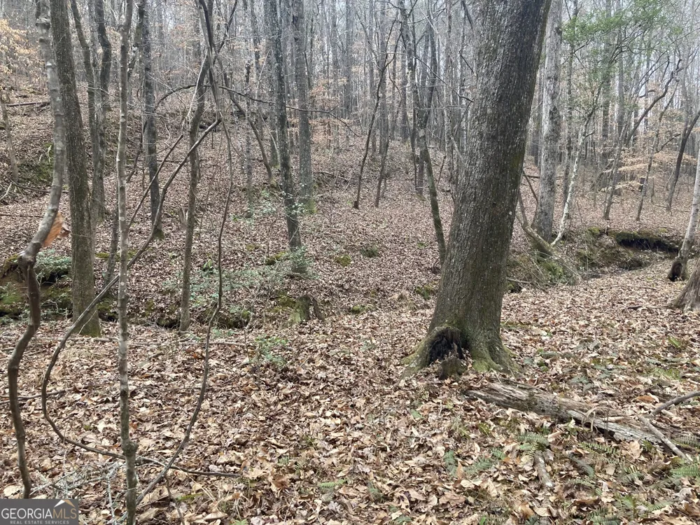 40 ACRES Pobiddy RD Thomaston, GA 30286