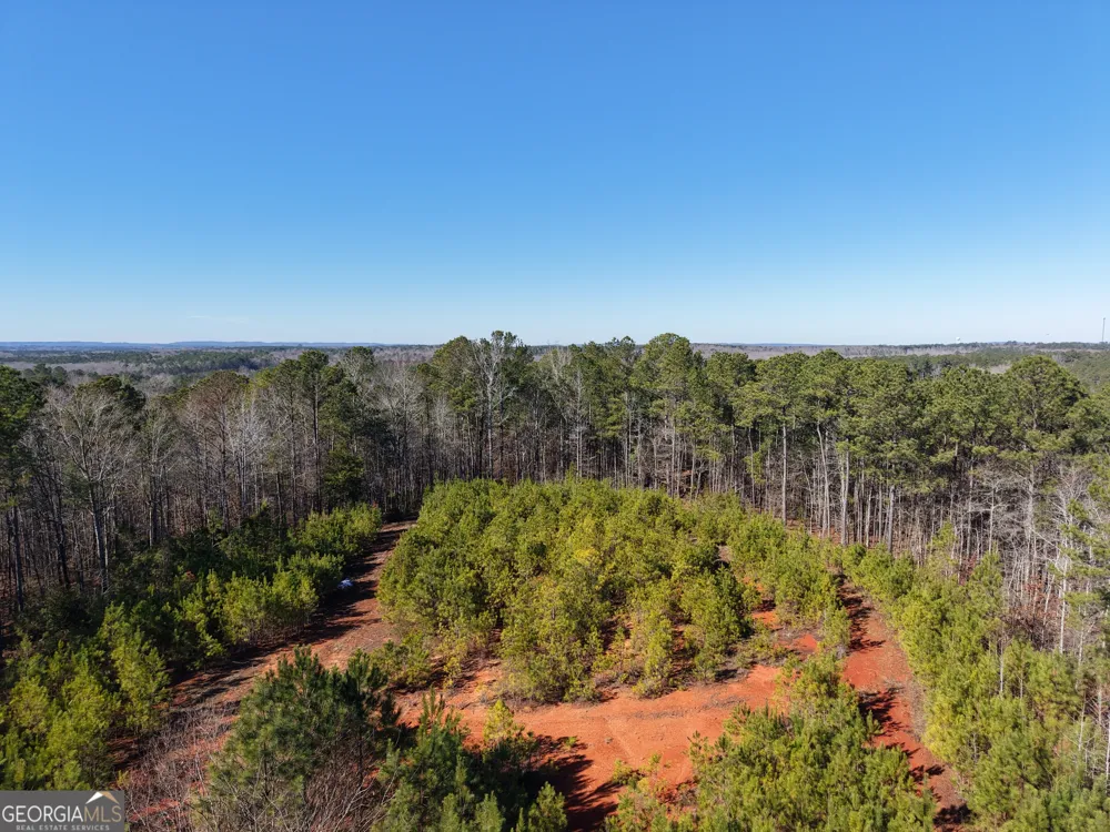103 ACRES Pobiddy RD Thomaston, GA 30286