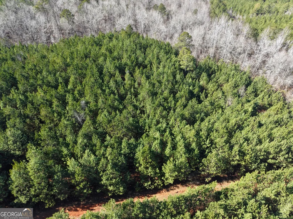 103 ACRES Pobiddy RD Thomaston, GA 30286