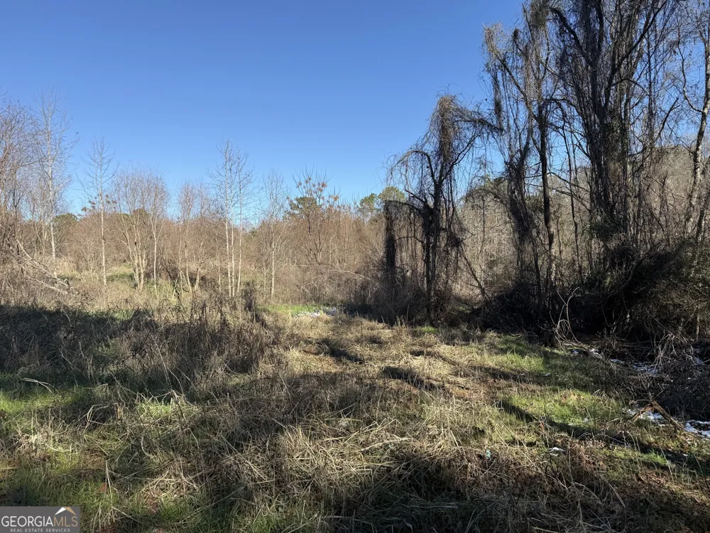 103 ACRES Pobiddy RD Thomaston, GA 30286