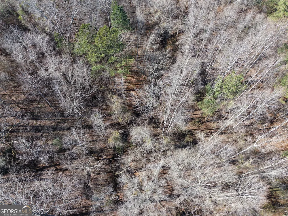 103 ACRES Pobiddy RD Thomaston, GA 30286