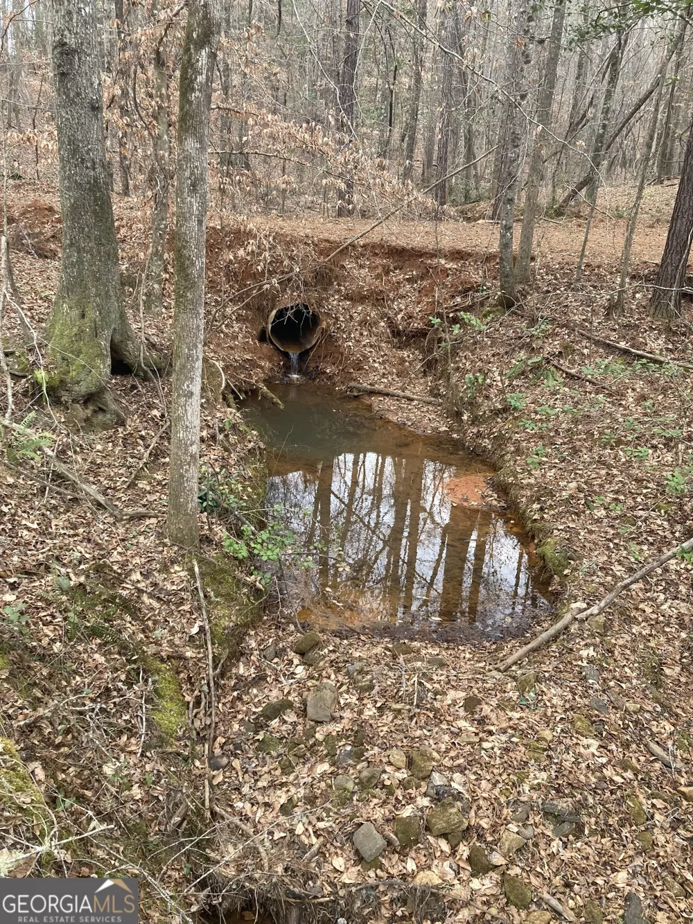 103 ACRES Pobiddy RD Thomaston, GA 30286