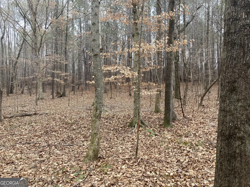 103 ACRES Pobiddy RD Thomaston, GA 30286