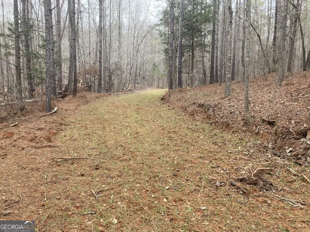 103 ACRES Pobiddy RD Thomaston, GA 30286