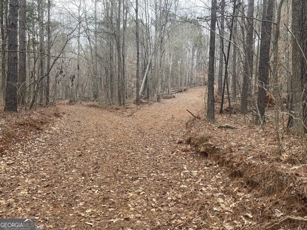 103 ACRES Pobiddy RD Thomaston, GA 30286