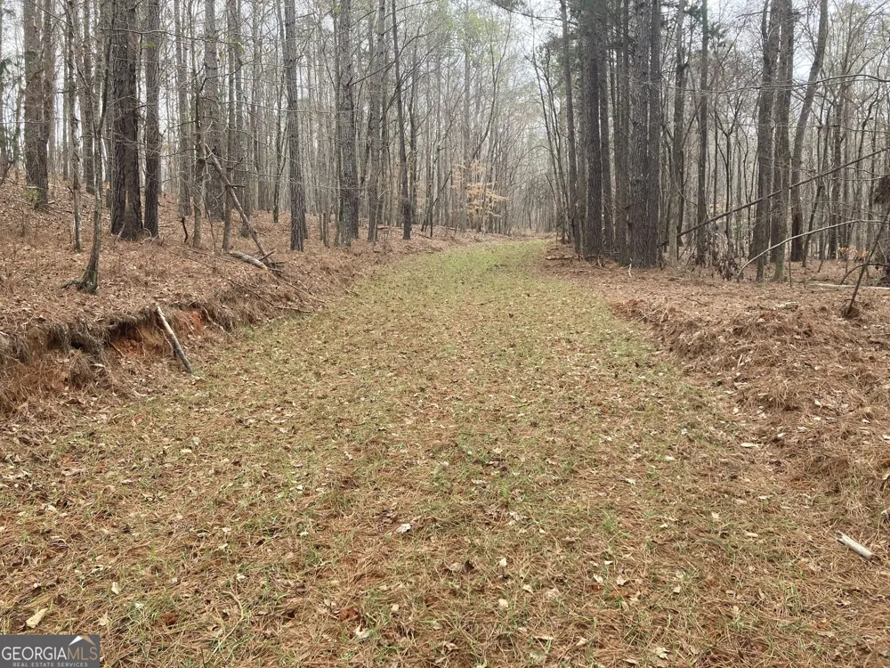 103 ACRES Pobiddy RD Thomaston, GA 30286