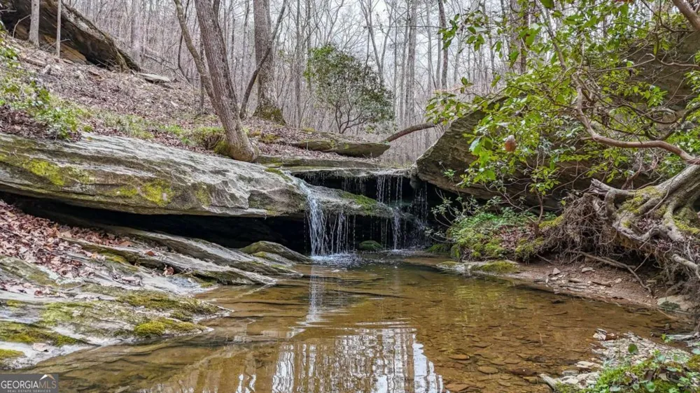 0 Felton Rockmart RD Buchanan, GA 30113