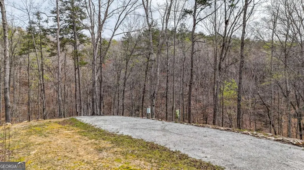 0 Felton Rockmart RD Buchanan, GA 30113