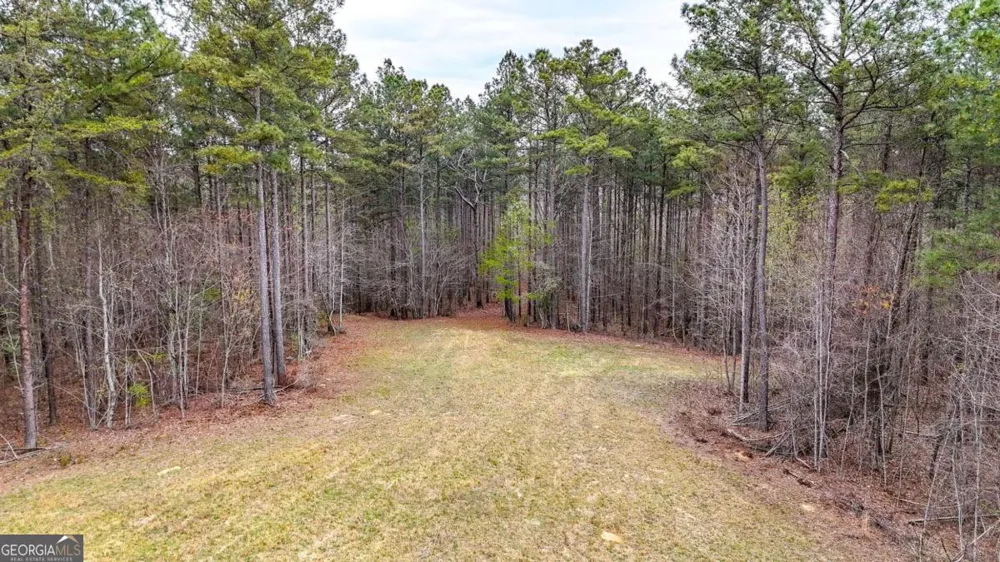 0 Felton Rockmart RD Buchanan, GA 30113