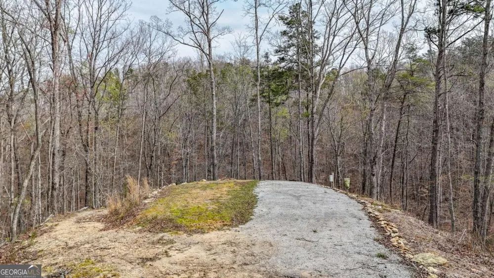 0 Felton Rockmart RD Buchanan, GA 30113