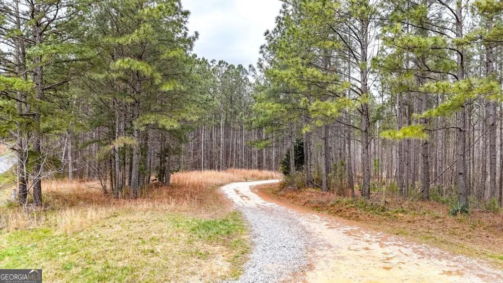 0 Felton Rockmart RD Buchanan, GA 30113