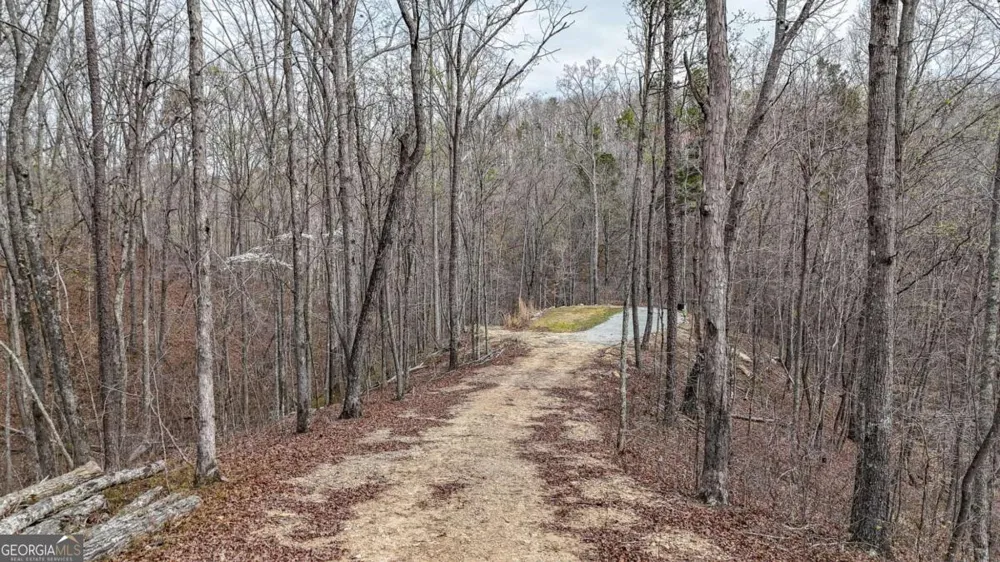 0 Felton Rockmart RD Buchanan, GA 30113