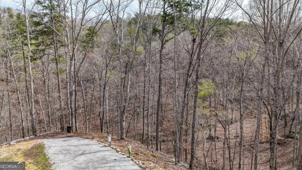 0 Felton Rockmart RD Buchanan, GA 30113