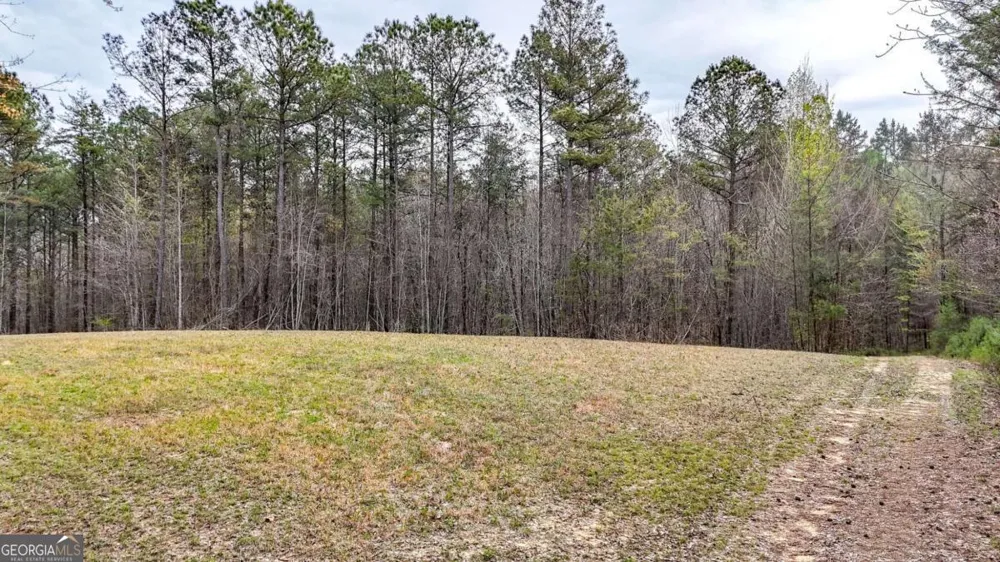0 Felton Rockmart RD Buchanan, GA 30113