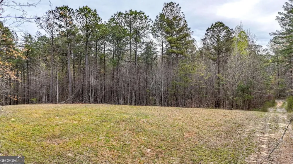 0 Felton Rockmart RD Buchanan, GA 30113