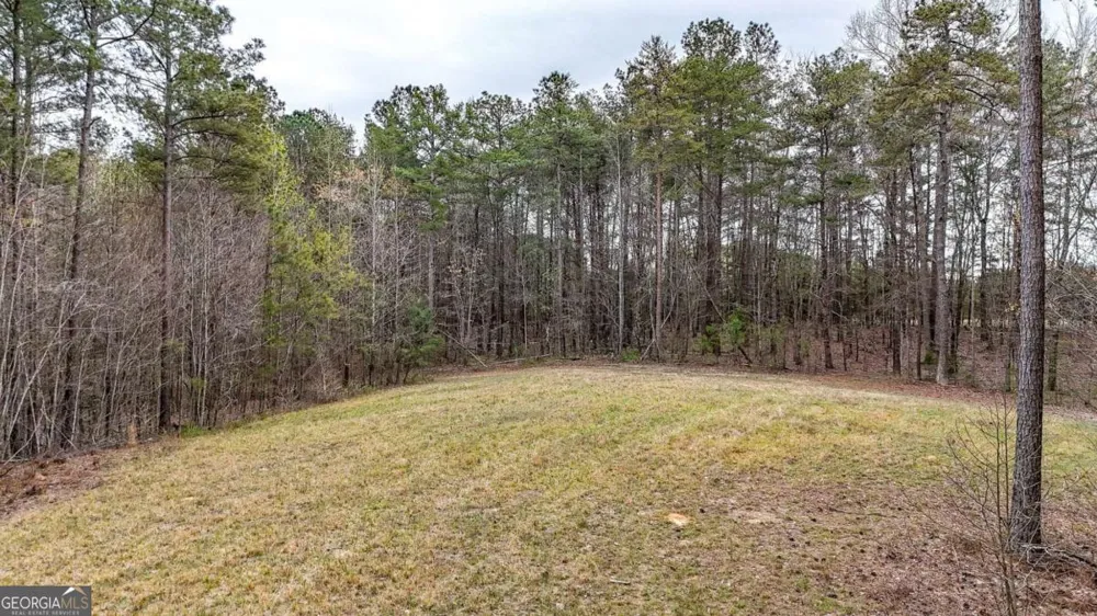 0 Felton Rockmart RD Buchanan, GA 30113