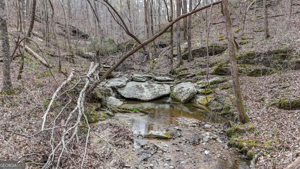 0 Felton Rockmart RD Buchanan, GA 30113