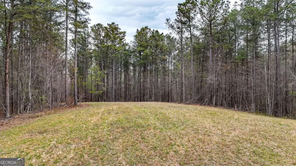 0 Felton Rockmart RD Buchanan, GA 30113