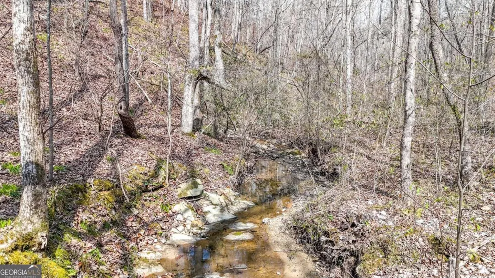 0 Felton Rockmart RD Buchanan, GA 30113