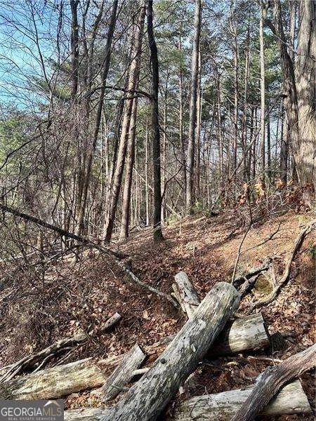 0 Log Swamp DR