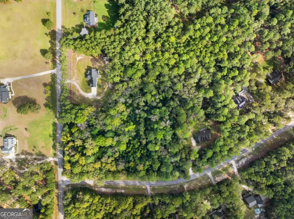 0 Plantation Pointe DR Statesboro, GA 30461