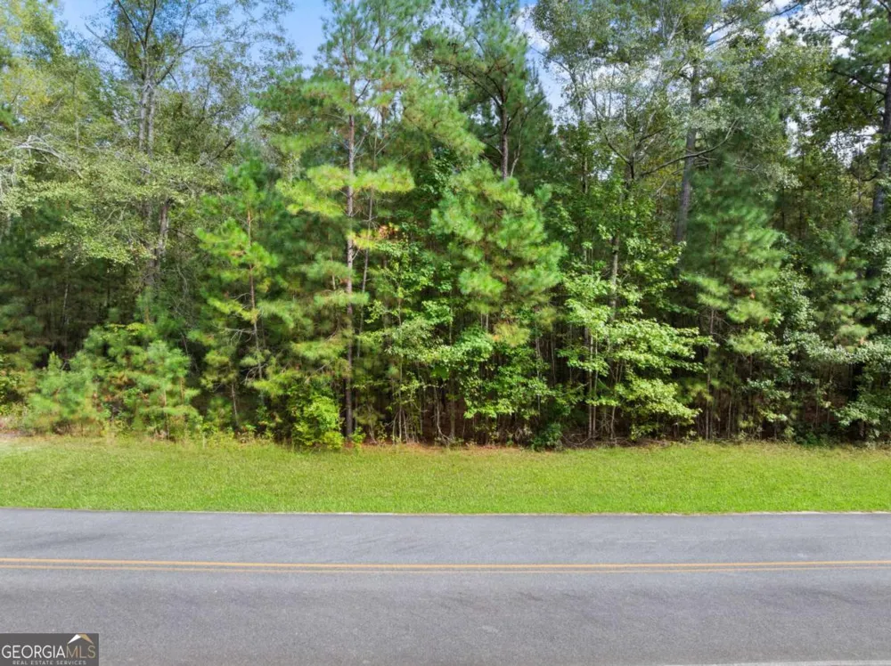 0 Plantation Pointe DR Statesboro, GA 30461