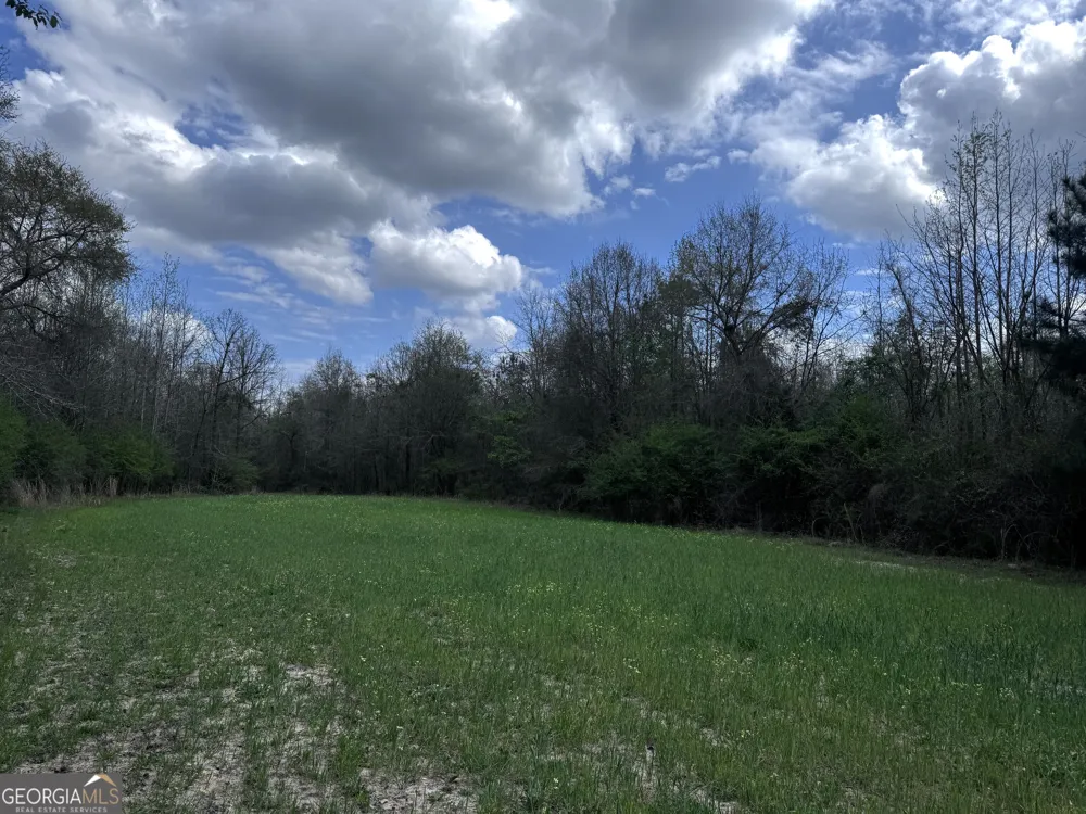 31+/- AC Highway 26 Buena Vista, GA 31803