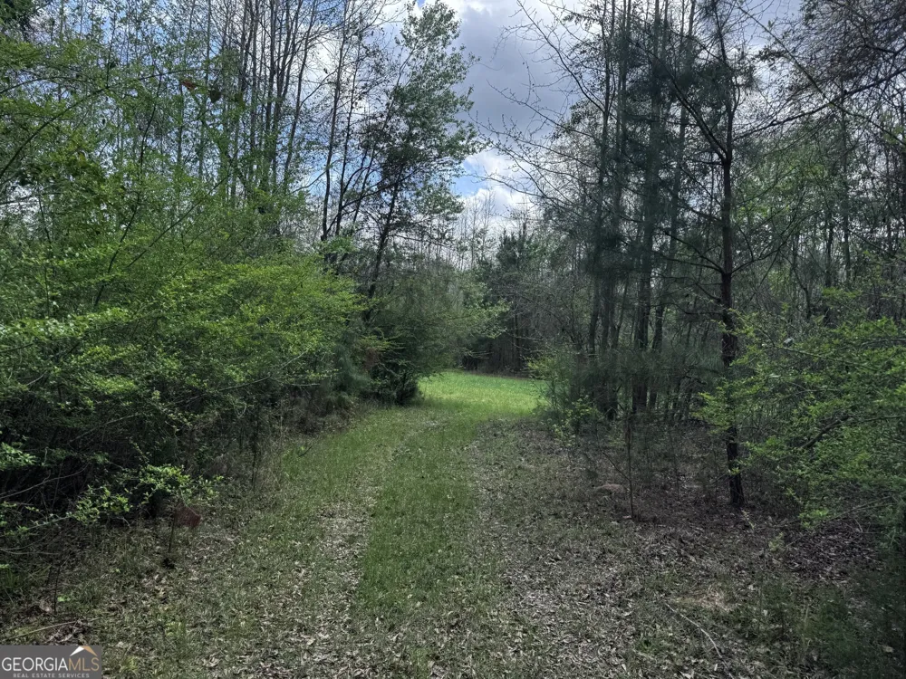 31+/- AC Highway 26 Buena Vista, GA 31803