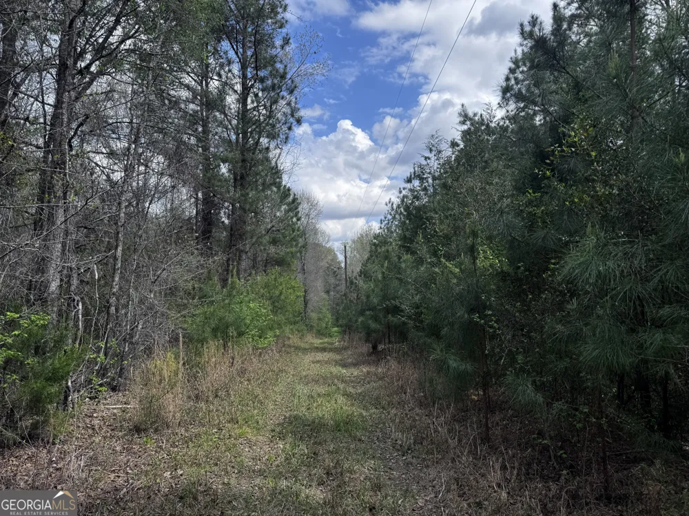 31+/- AC Highway 26 Buena Vista, GA 31803
