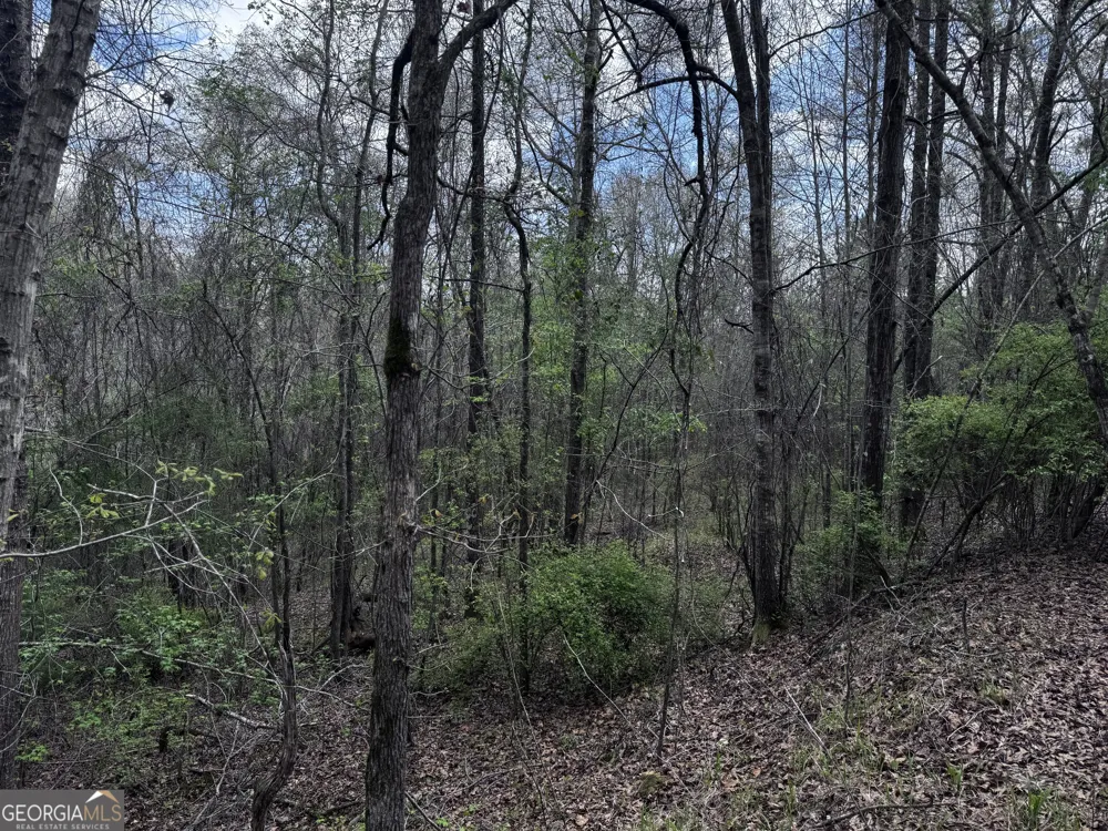 31+/- AC Highway 26 Buena Vista, GA 31803