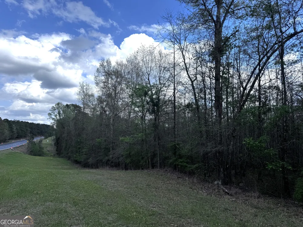 31+/- AC Highway 26 Buena Vista, GA 31803