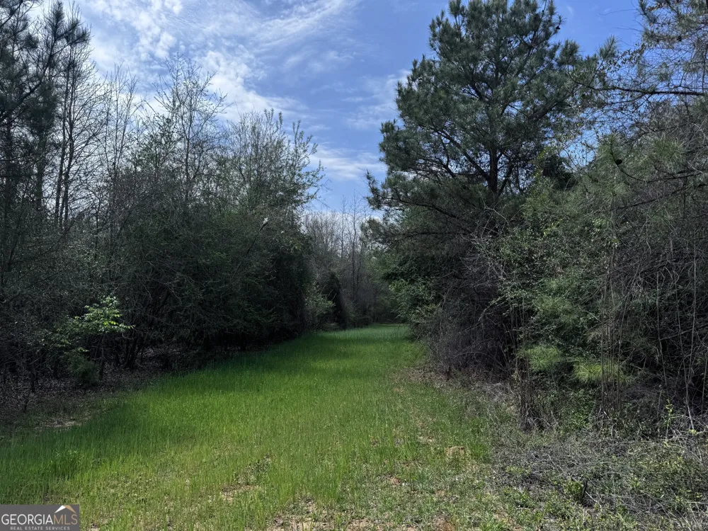 337+/- AC Hwy 137 Buena Vista, GA 31803