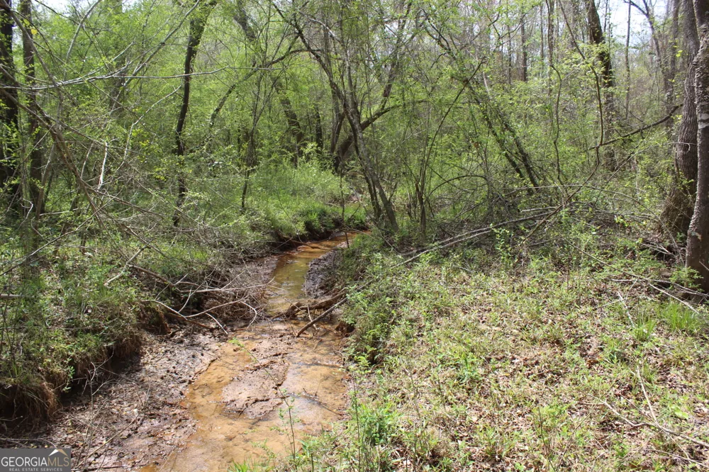 337+/- AC Hwy 137 Buena Vista, GA 31803