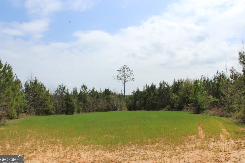 337+/- AC Hwy 137 Buena Vista, GA 31803