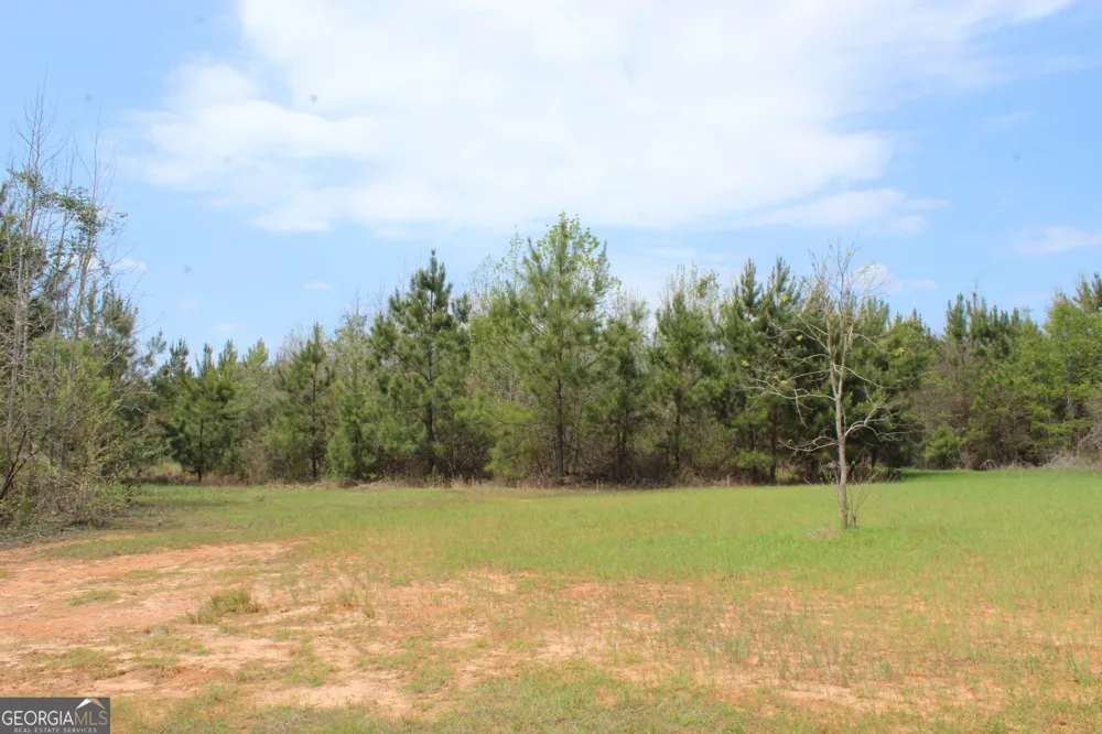 337+/- AC Hwy 137 Buena Vista, GA 31803