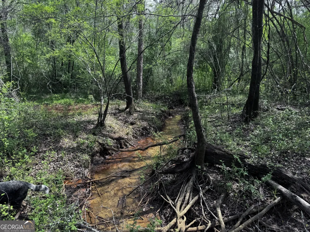337+/- AC Hwy 137 Buena Vista, GA 31803