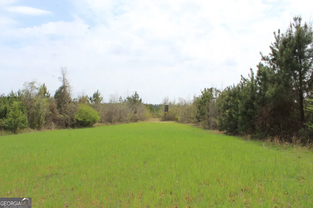 337+/- AC Hwy 137 Buena Vista, GA 31803