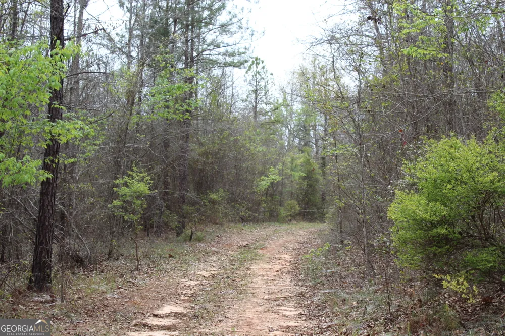 337+/- AC Hwy 137 Buena Vista, GA 31803