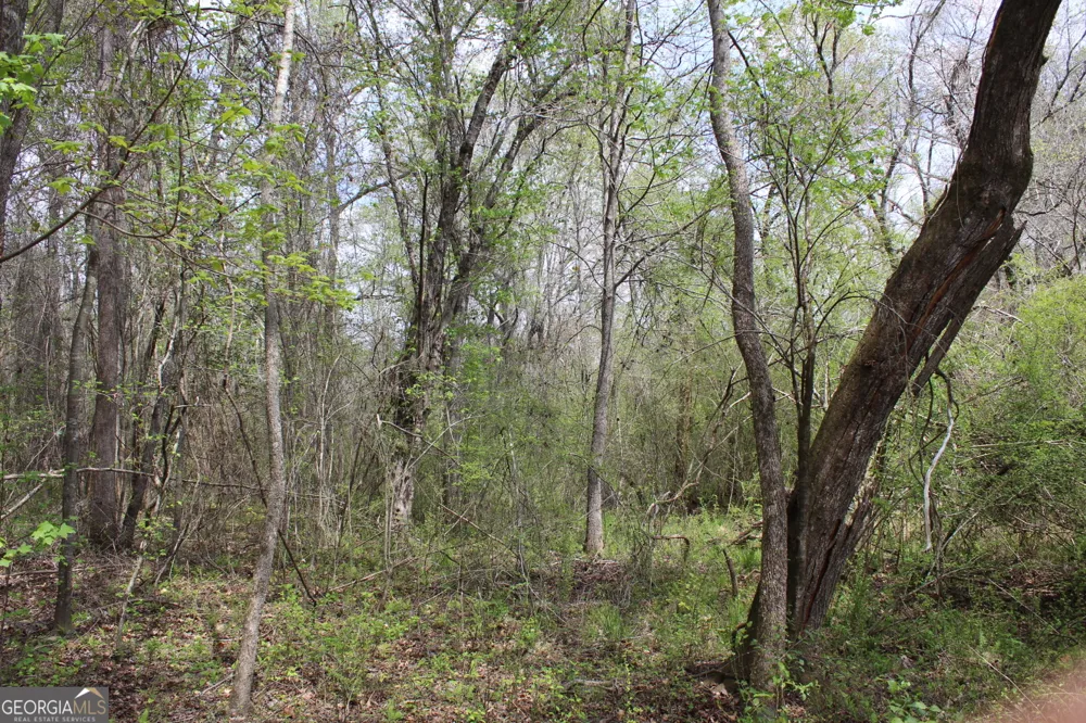 337+/- AC Hwy 137 Buena Vista, GA 31803