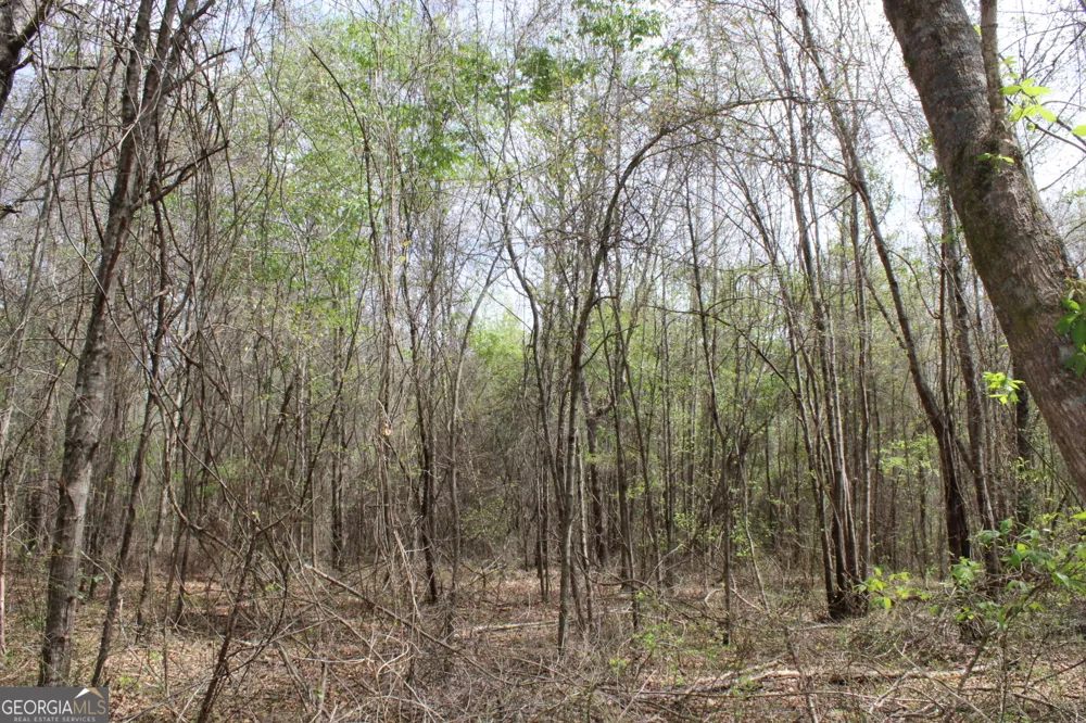 337+/- AC Hwy 137 Buena Vista, GA 31803